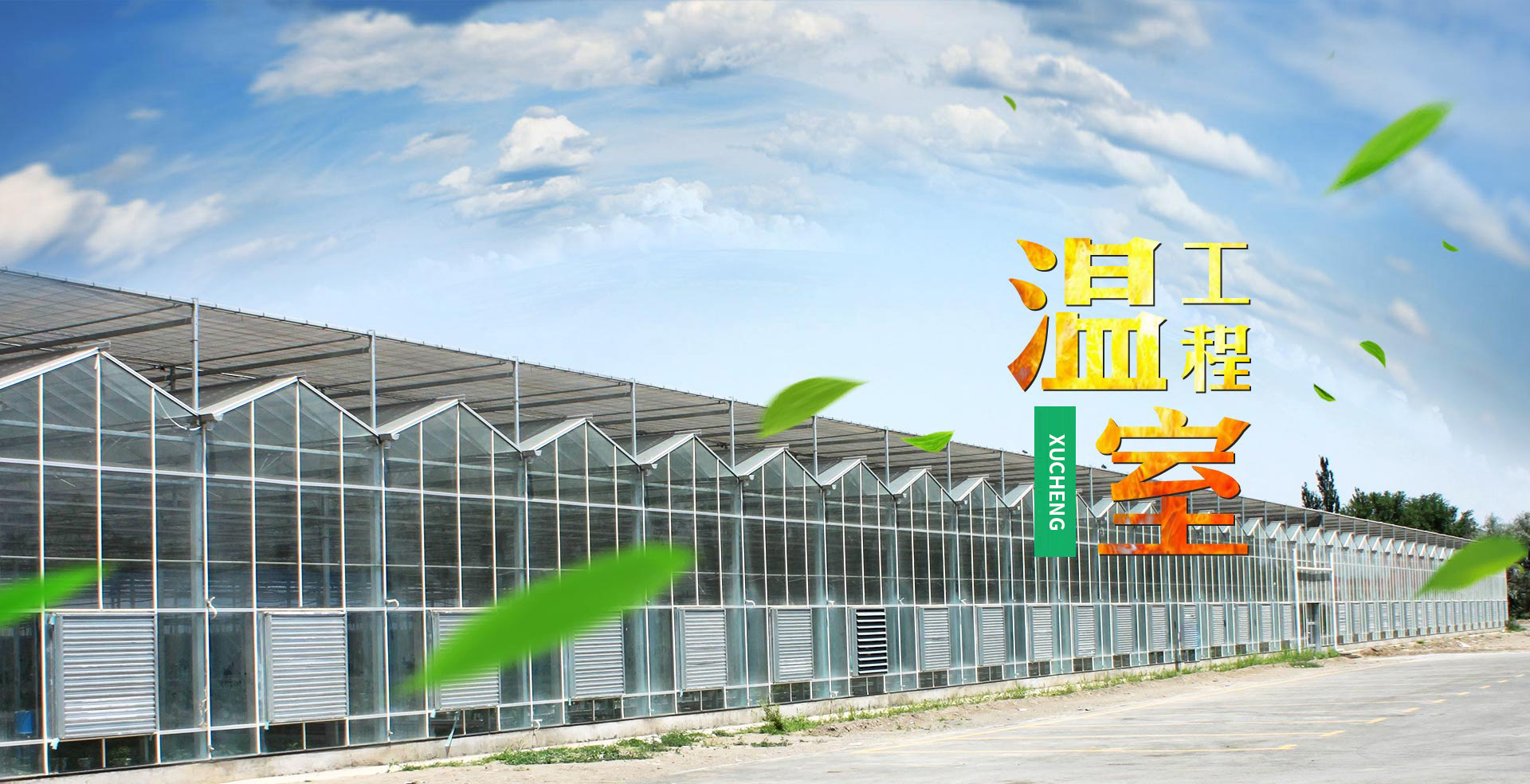 青州市旭诚农业科技有限公司b1